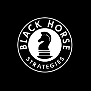 Black Horse Strategies - Top Medical Supply Chain and Logistics Services Black Horse Strategies